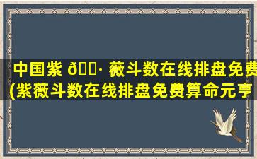 中国紫 🕷 薇斗数在线排盘免费(紫薇斗数在线排盘免费算命元亨利贞)